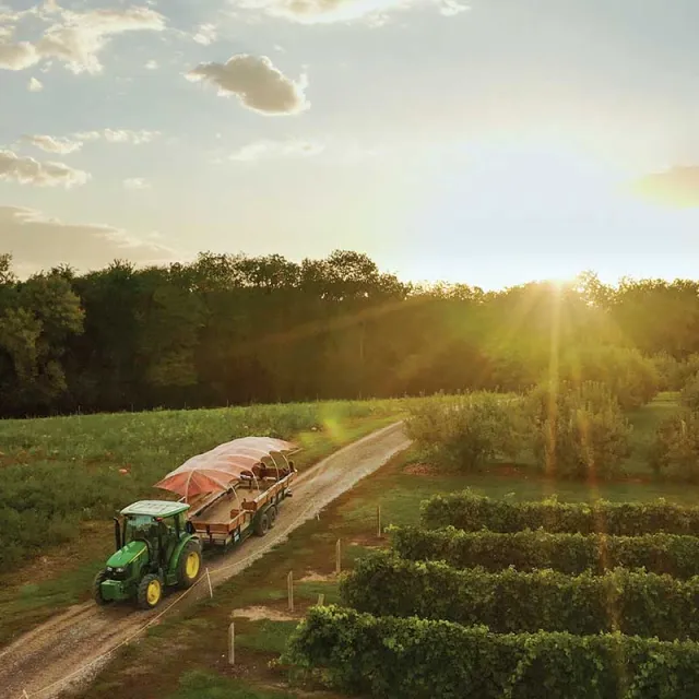A tractor drives along a dirt road at sunset, flanked by trees in the background, showcasing a rural landscape.