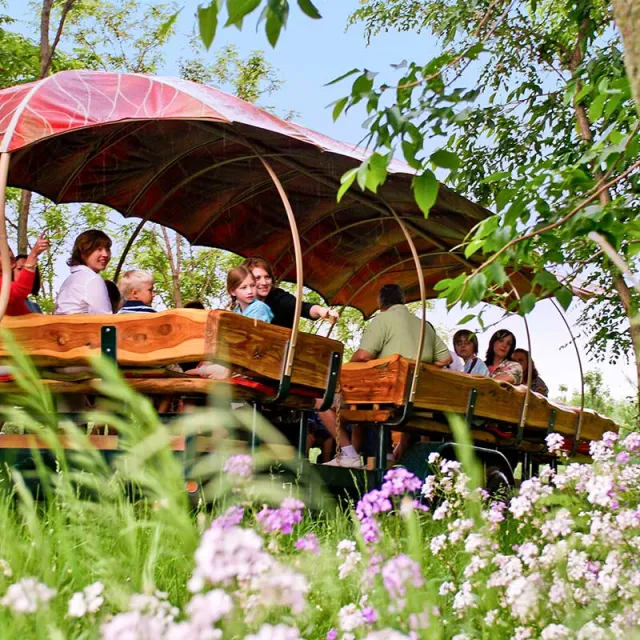 A group of individuals seated on discovery ride, surrounded by a lush green field under a clear blue sky.