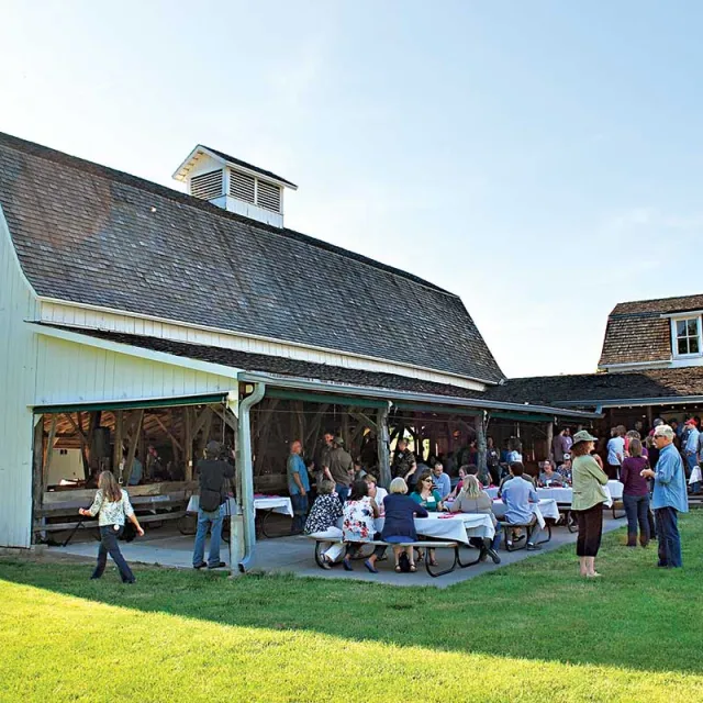 A lively outdoor gathering at a barn, with guests mingling and dining at tables on a sunny day. Green grass surrounds the venue.