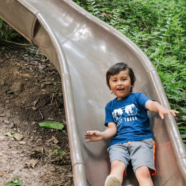 A child in a blue shirt slides down a smooth, brown slide nestled among green foliage and dirt in a wooded playground.