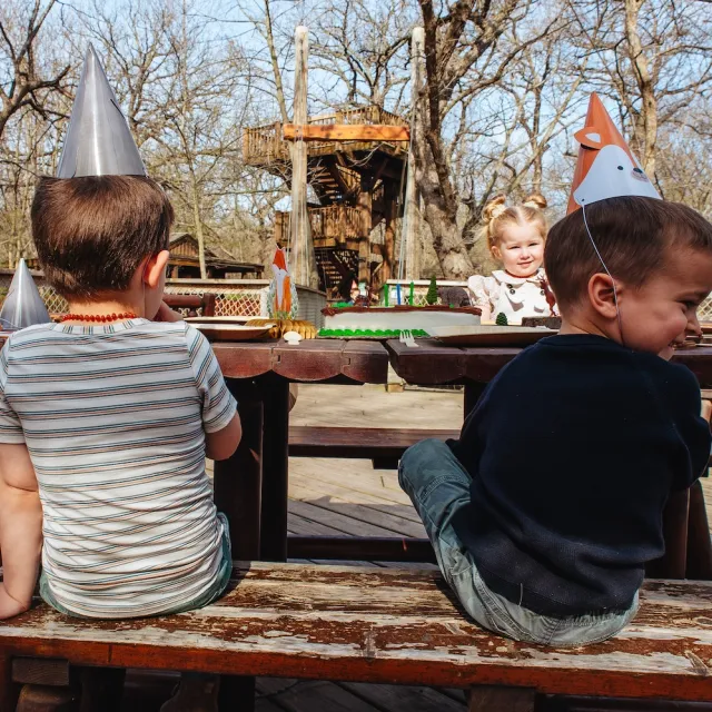 Two children in party hats sit at a picnic table, with a festive setup featuring a cake and decorations against a rustic outdoor backdrop.