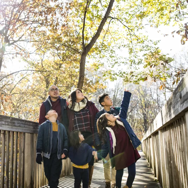 A joyful family poses together on a wooden walkway surrounded by autumn trees, basking in the warm sunlight.