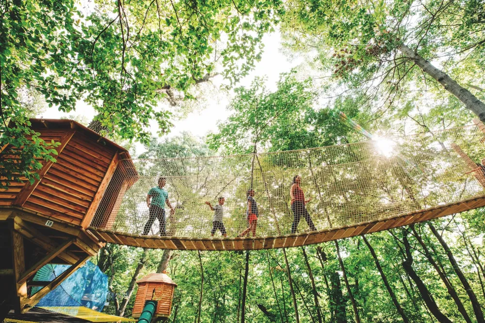 A group of individuals crossing a suspension bridge in a serene woodland setting.