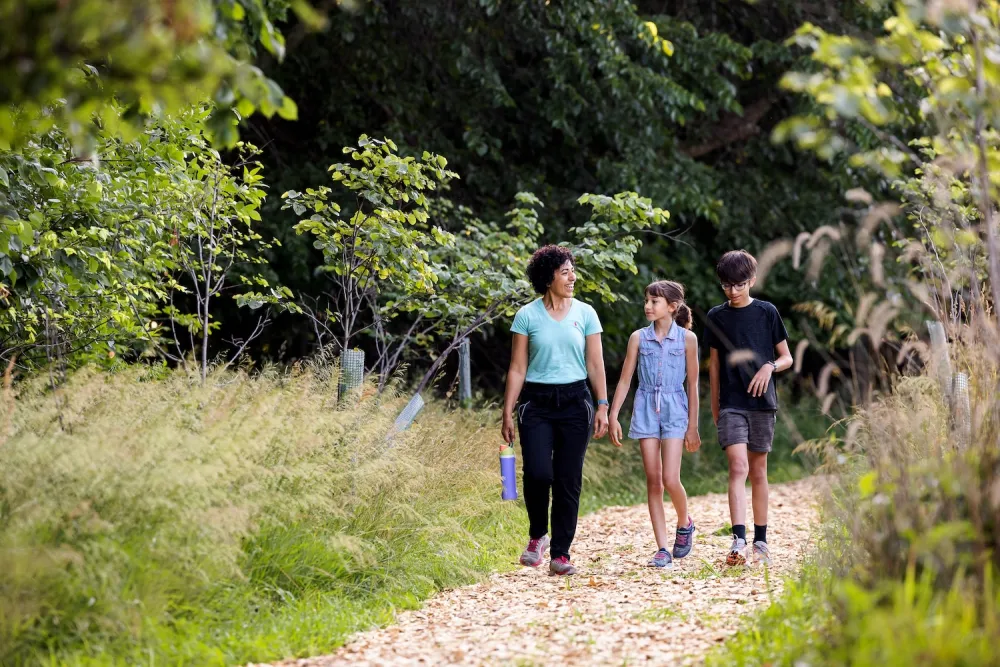 Three individuals walking along a wooded path, surrounded by trees and natural scenery.