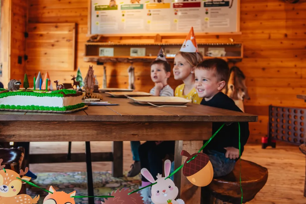 A festive table set for a celebration, featuring a green frosted cake with animal decorations and colorful party hats.