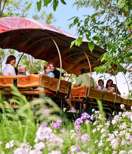 A group of people seated under a large, colorful canopy atop a wooden wagon, surrounded by lush greenery and blooming flowers.