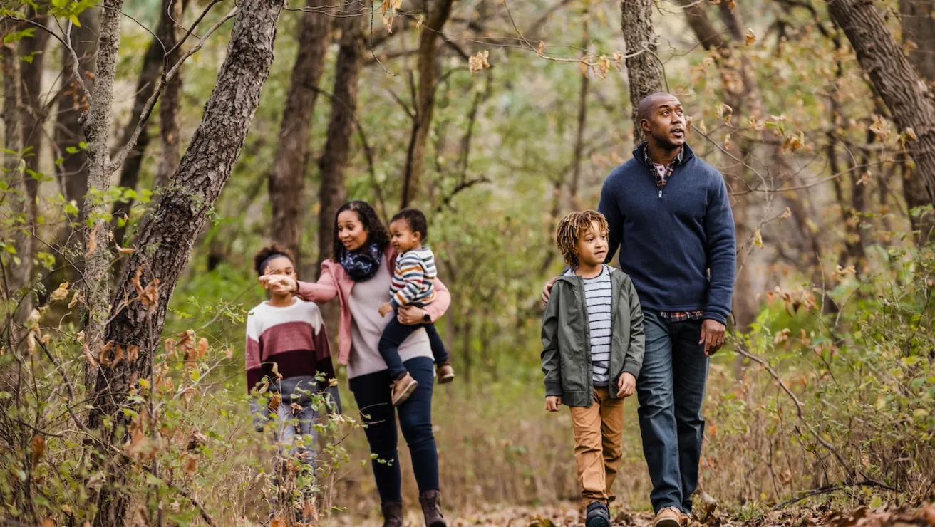 A family of four walking together on a forest path, surrounded by tall trees and lush greenery.