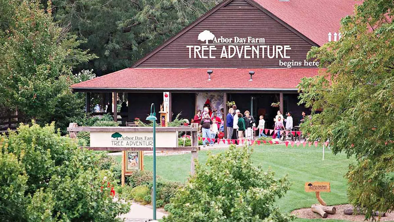 Tree Adventure Building