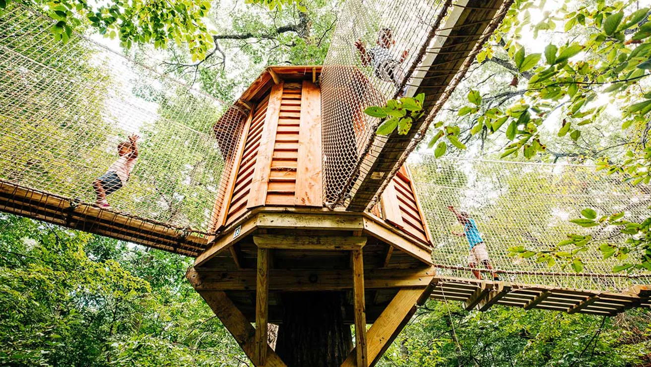 Kids running around Tree Adventure 