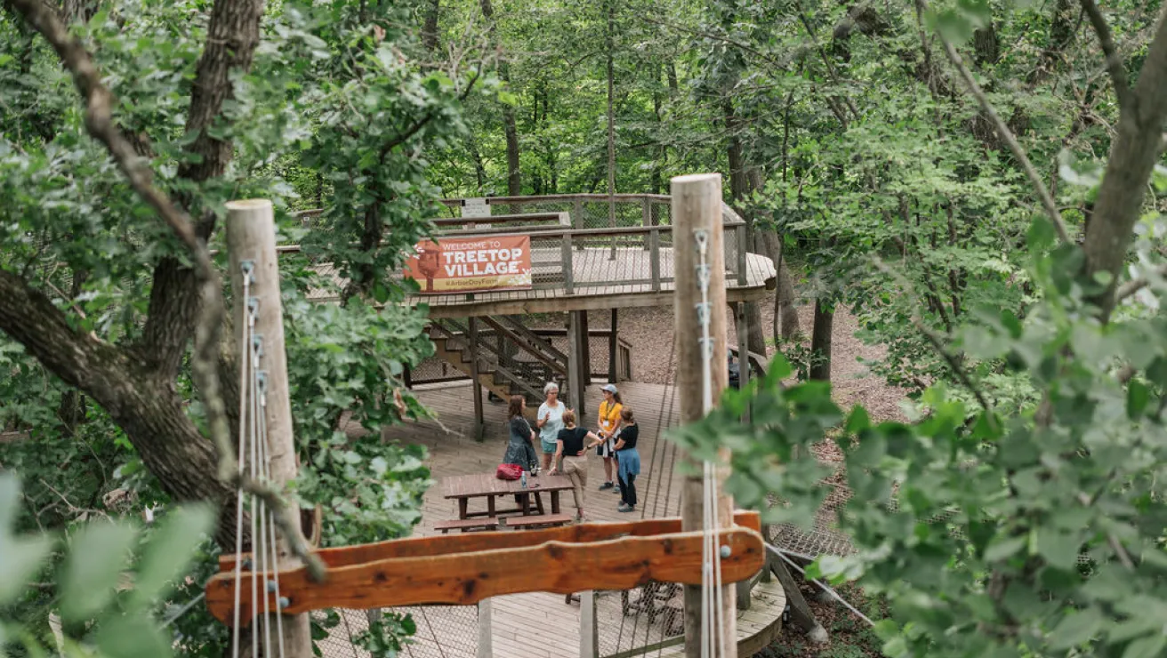 Aerial view of Treetop Village, featuring wooden structures, lush greenery, and visitors gathering near a picnic table under a sign.