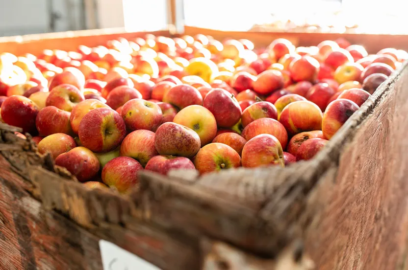 A wooden box overflowing with fresh, red apples.