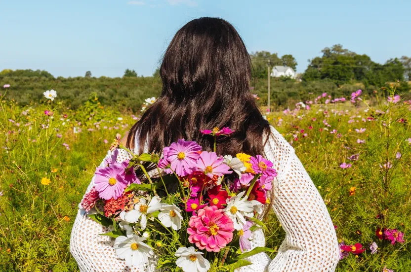 A woman in a white sweater and jeans holds vibrant pink, purple, and white flowers behind her back, standing in a colorful wildflower field under a clear blue sky.